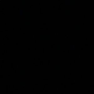 Meet your Posher, Lola